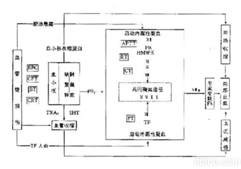 國康血液分析儀分析血小板與止血和凝血