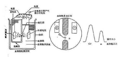 國康血液分析儀的電阻抗法原理