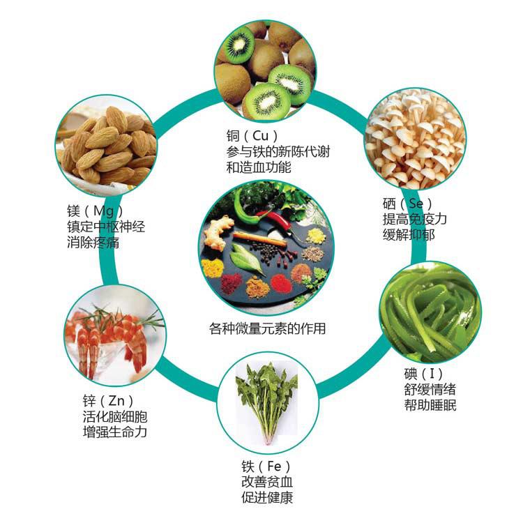 全自動微量元素分析儀