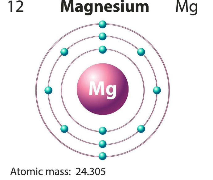 全自動微量元素分析儀談鎂缺乏對人體的危害