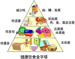 微量元素分析儀分析如何從食物中獲得微量元素