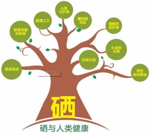 微量元素檢測(cè)儀價(jià)格多少缺硒的危害