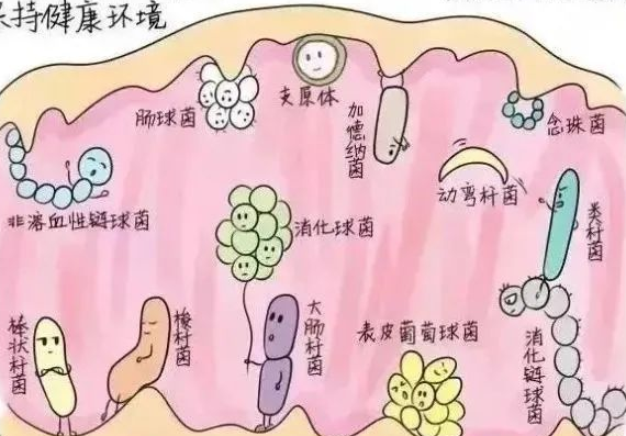 陰道分泌物檢測儀